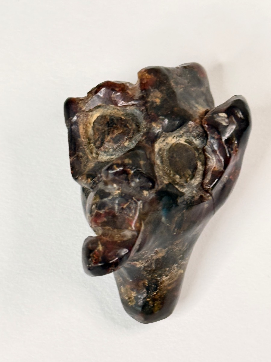 Fake Jack Frost Amber Fossilized Prehistoric Molar Tooth — Large Mammal Fossil Specimen